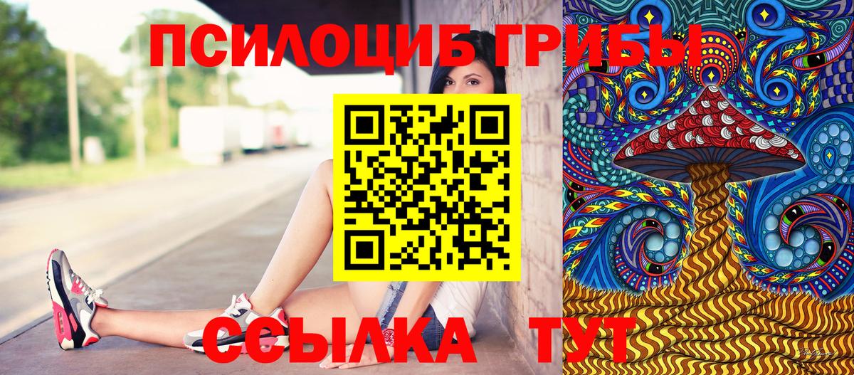 Дубна  Галлюциногенные грибы Cubensis  Вход с VPN 