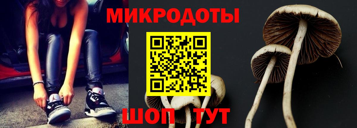 Псилоцибиновые грибы мицелий Дубна